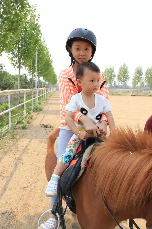帥帥的馬兒，我們交個朋友吧