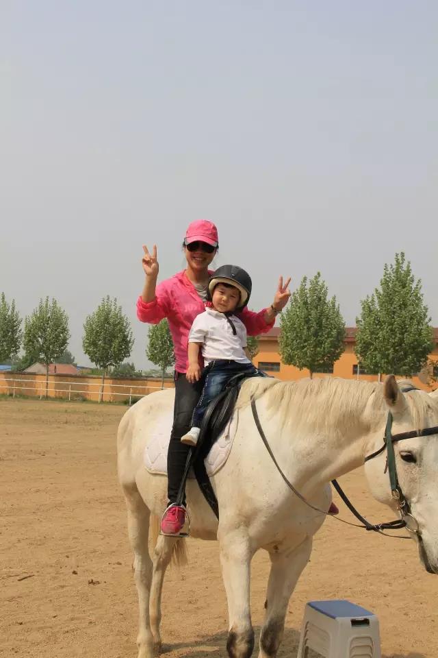 帥帥的馬兒，我們交個朋友吧