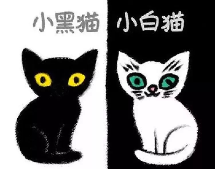 五月，送你充滿愛意的會員活動